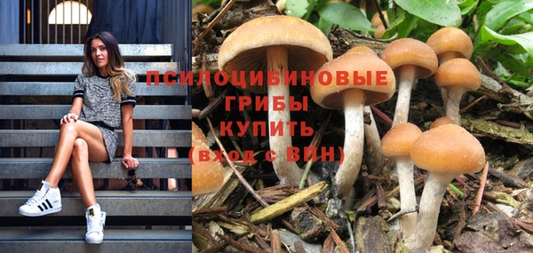 ALPHA PVP Киренск
