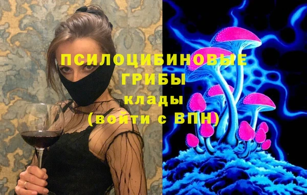 2c-b Киреевск