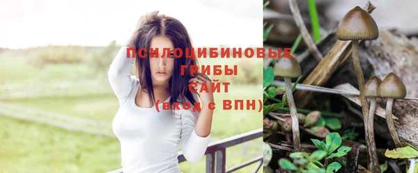 МДМА Кинешма